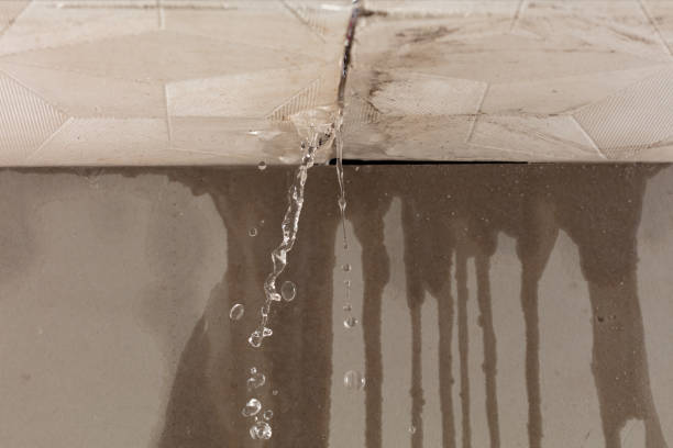 Professional Commercial Water Damage Restoration technician working in Bradyville, TN